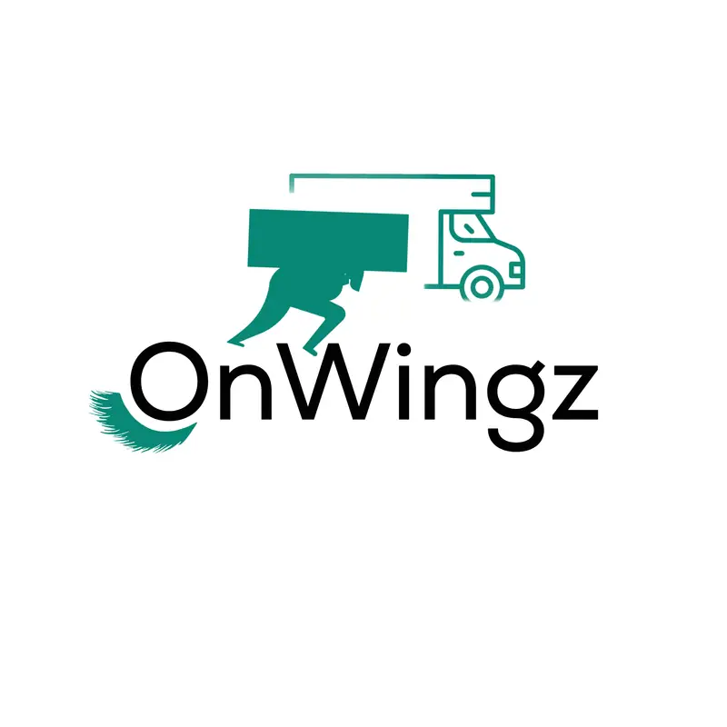 https://onwingz.com/storage/749/1000010714.webp